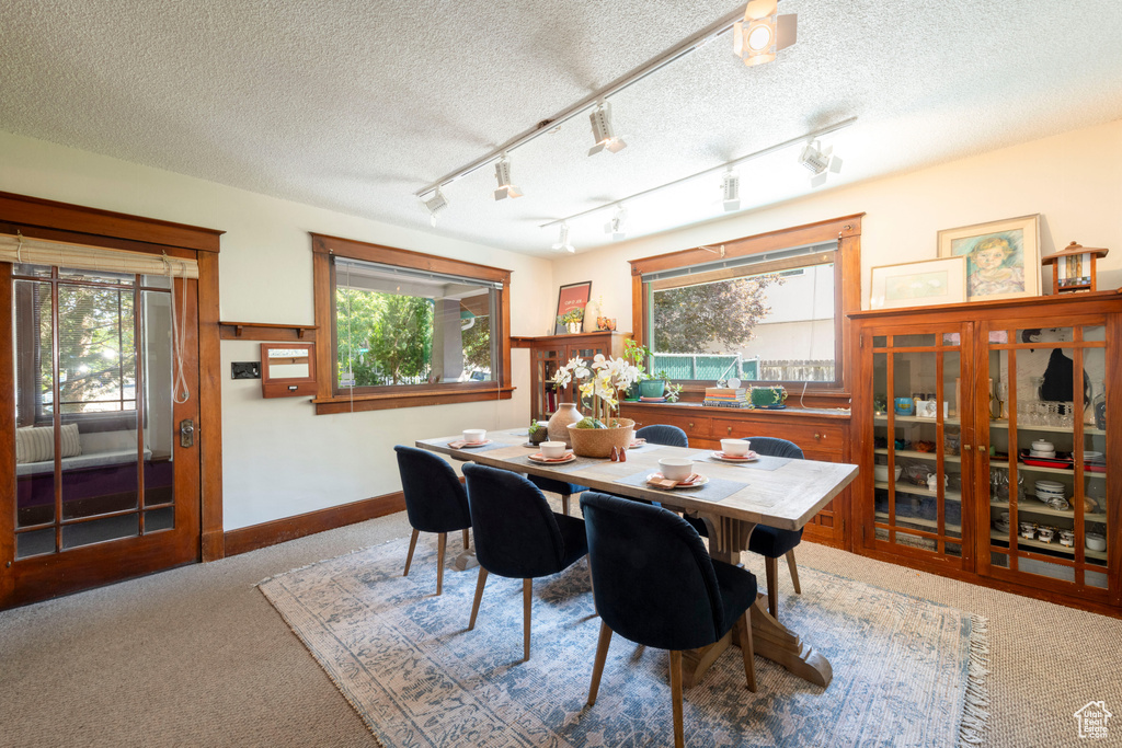 Dining area with carpet, healthy amount of natural light, and a textured ceiling
