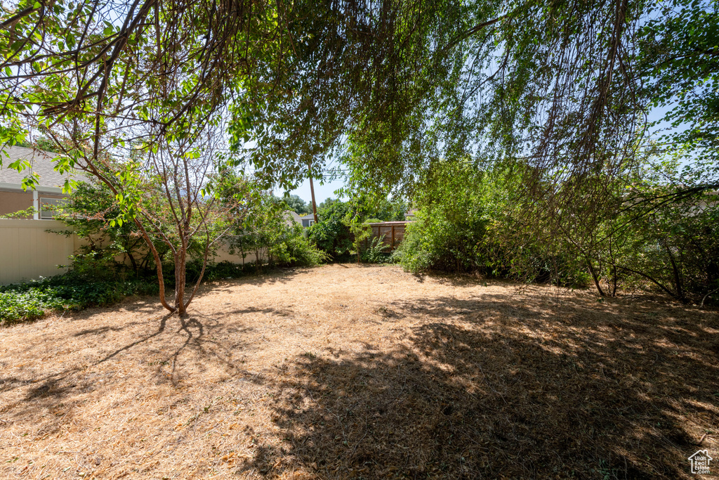 View of fenced backyard