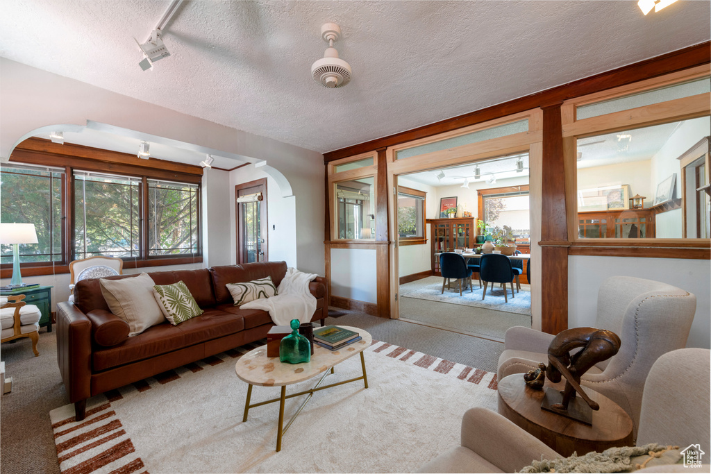 Living room with rail lighting, carpet, plenty of natural light, and a textured ceiling