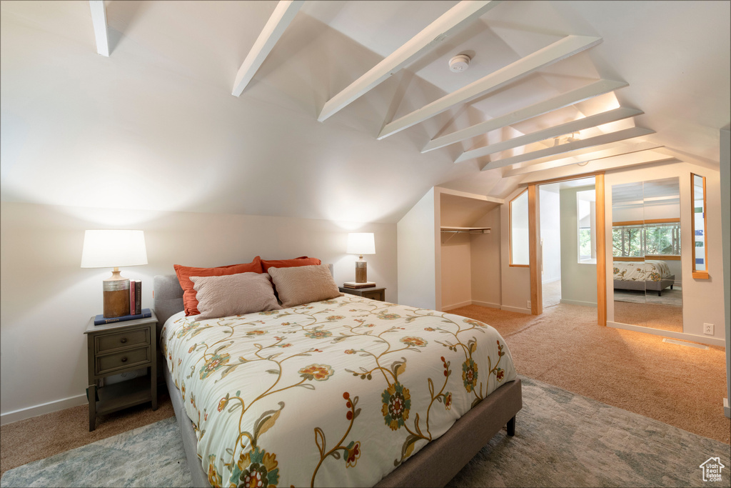 Carpeted bedroom with a closet and a spacious closet