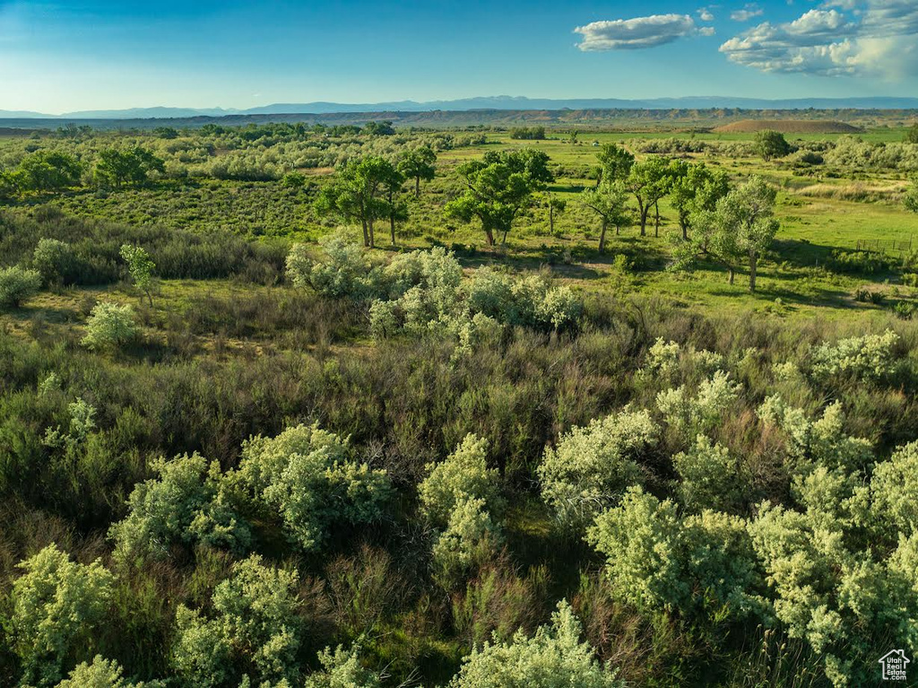 Aerial view of property and surrounding area with a mountain backdrop