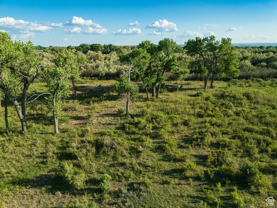 View of nature
