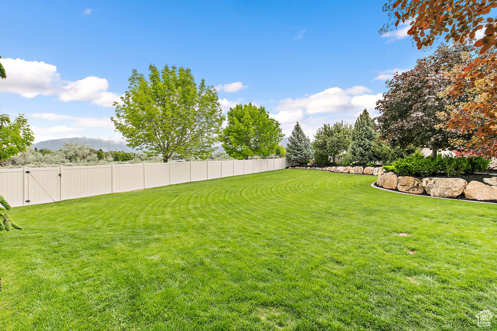 1095 N 700 W American Fork, UT 84003