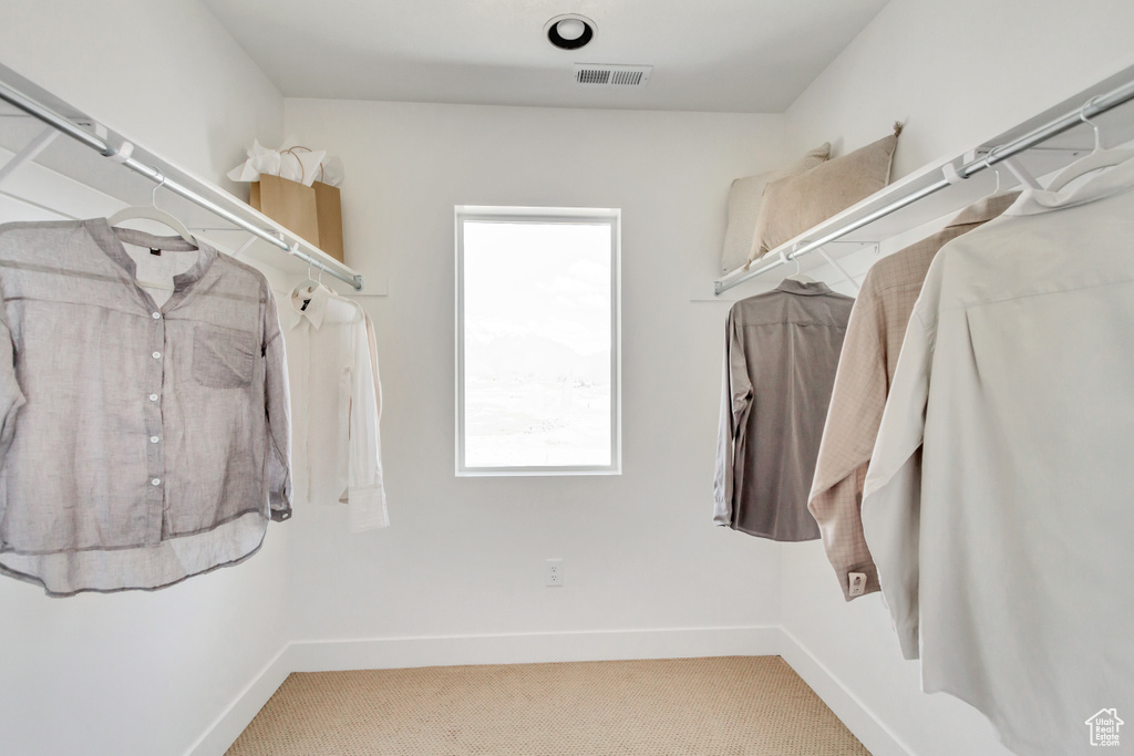 Spacious closet with carpet floors