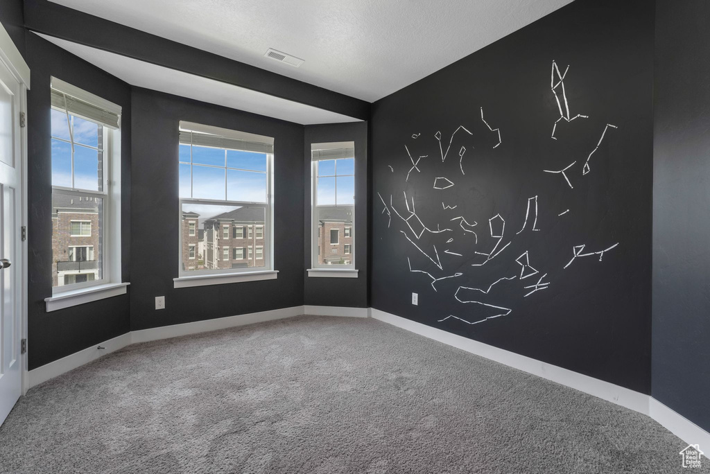 Empty room with carpet floors and healthy amount of natural light