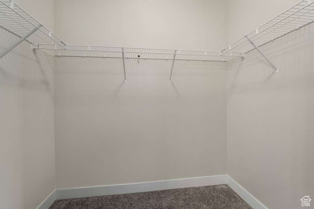 Spacious closet featuring carpet flooring