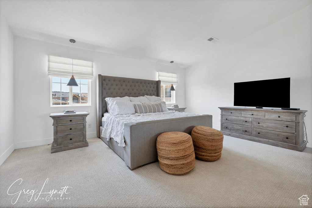 Bedroom featuring multiple windows and carpet floors
