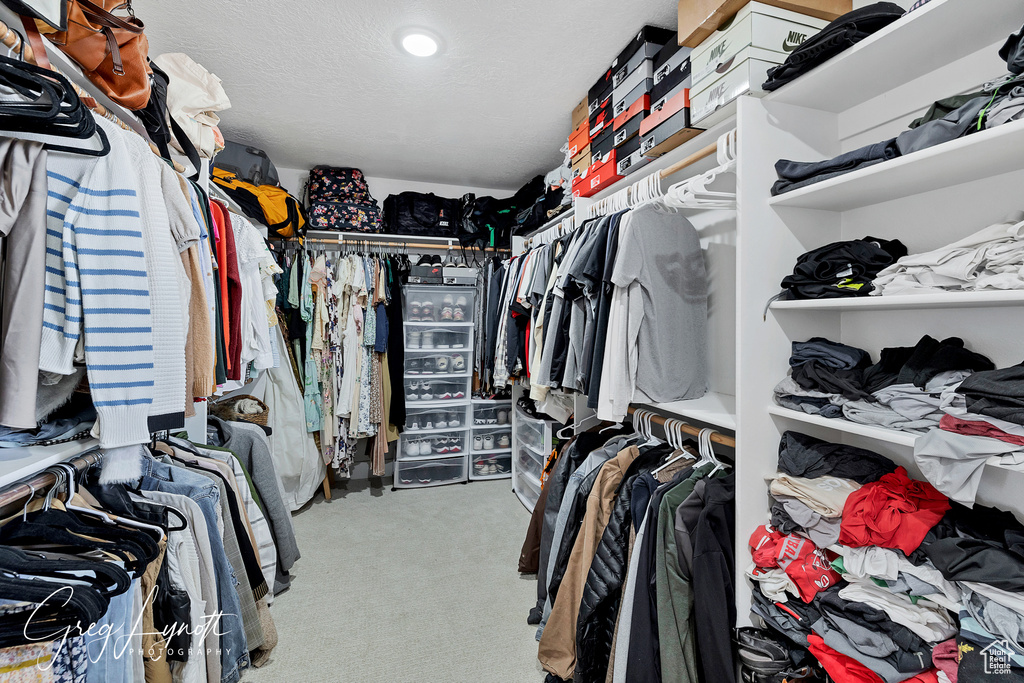 Spacious closet featuring carpet
