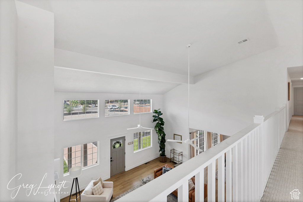 Hall featuring plenty of natural light, a high ceiling, and wood finished floors