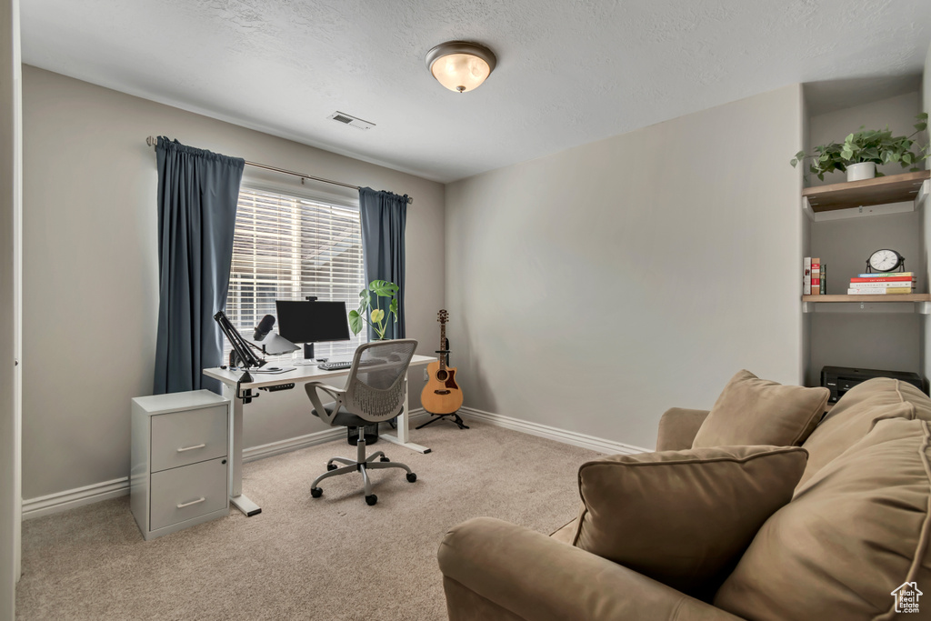 Office with carpet floors and a textured ceiling