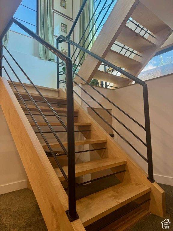 Stairway with baseboards and carpet
