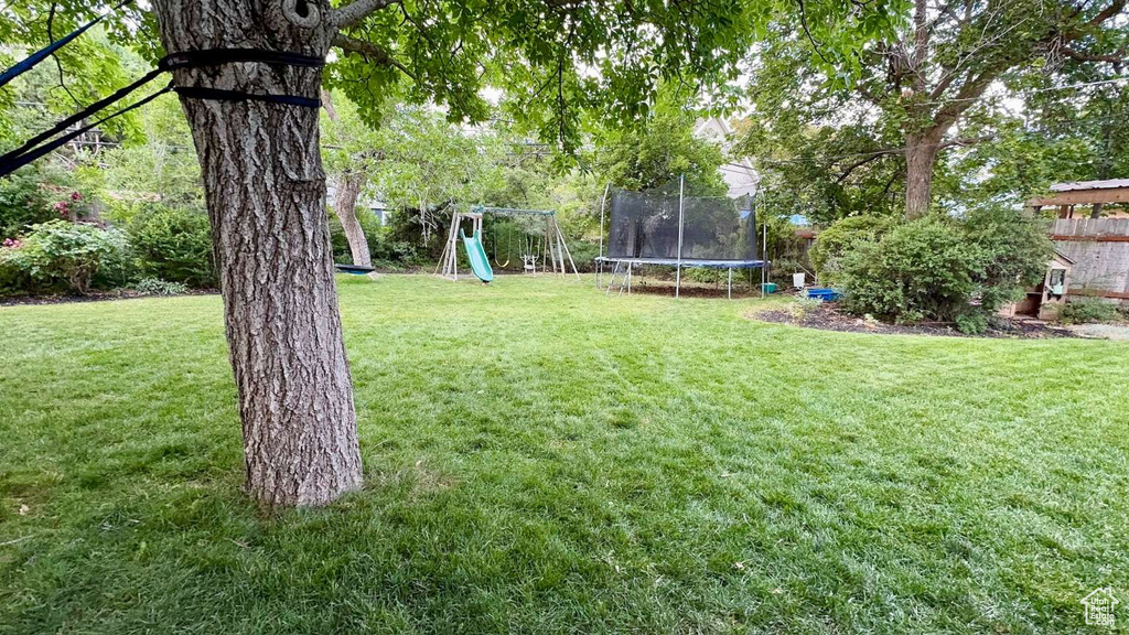 View of grassy yard with a trampoline