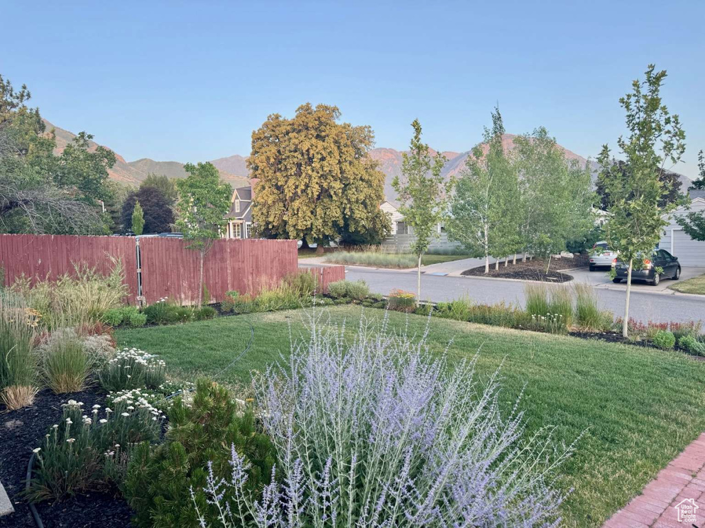 View of yard featuring a mountain view