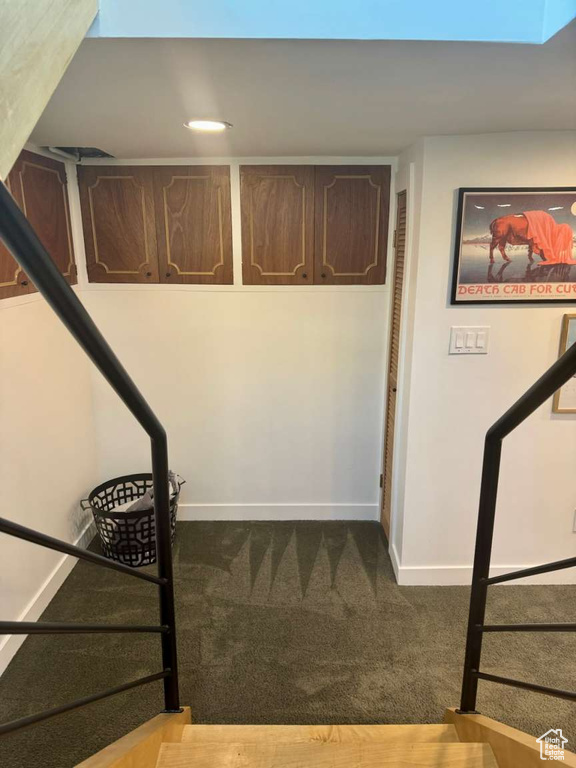 Stairs featuring carpet flooring and a skylight