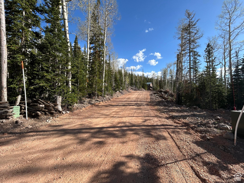 View of dirt / gravel road