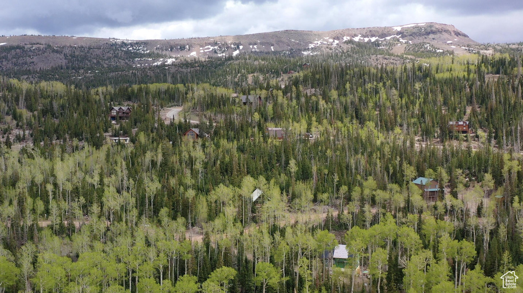 Aerial view of property and surrounding area with a forest and a mountain backdrop