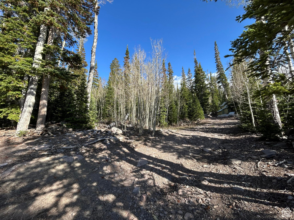 View of street with a wooded view