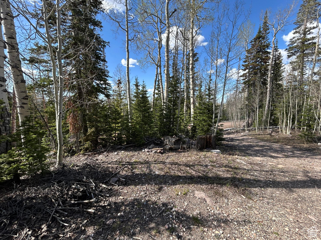 View of wooded area