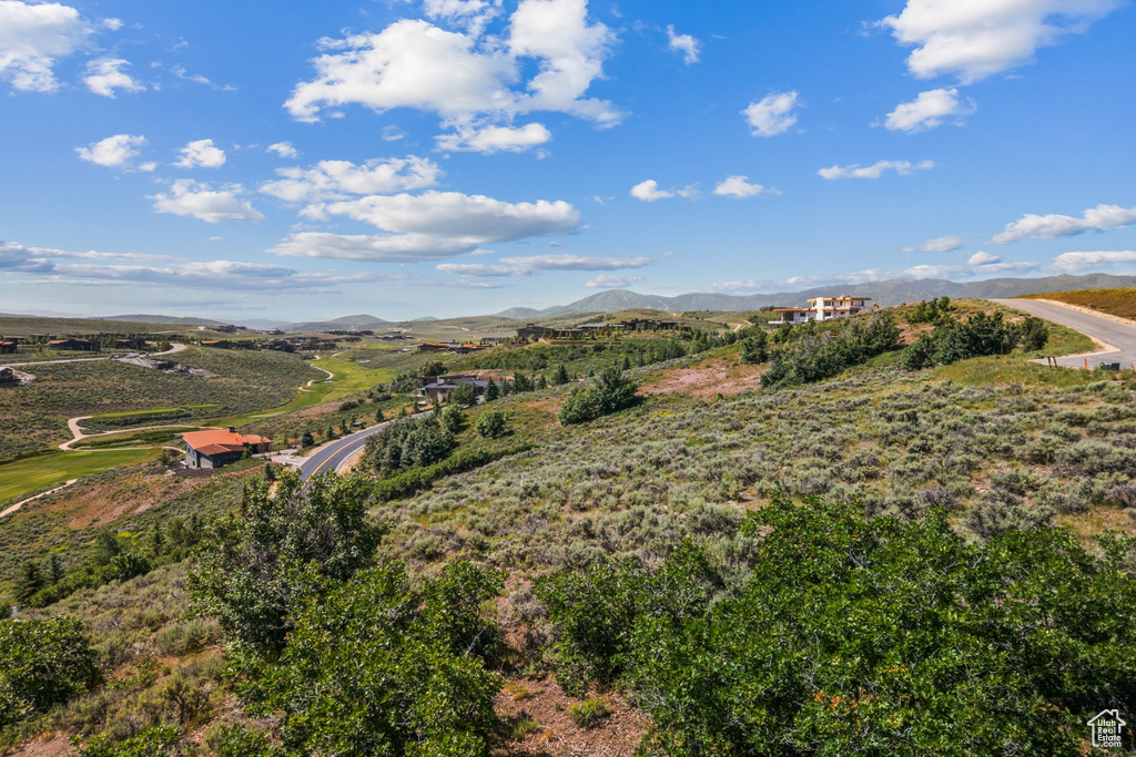 View of mountain background