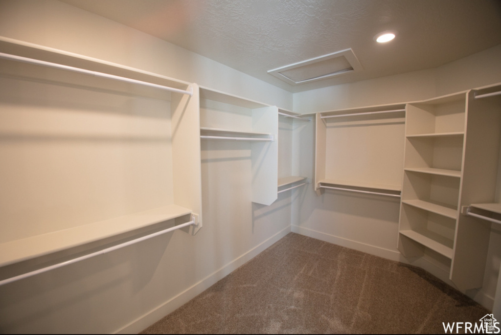 Spacious closet featuring attic access and dark carpet