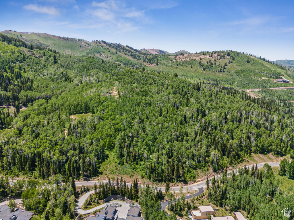 Aerial overview of property's location featuring a heavily wooded area and mountains