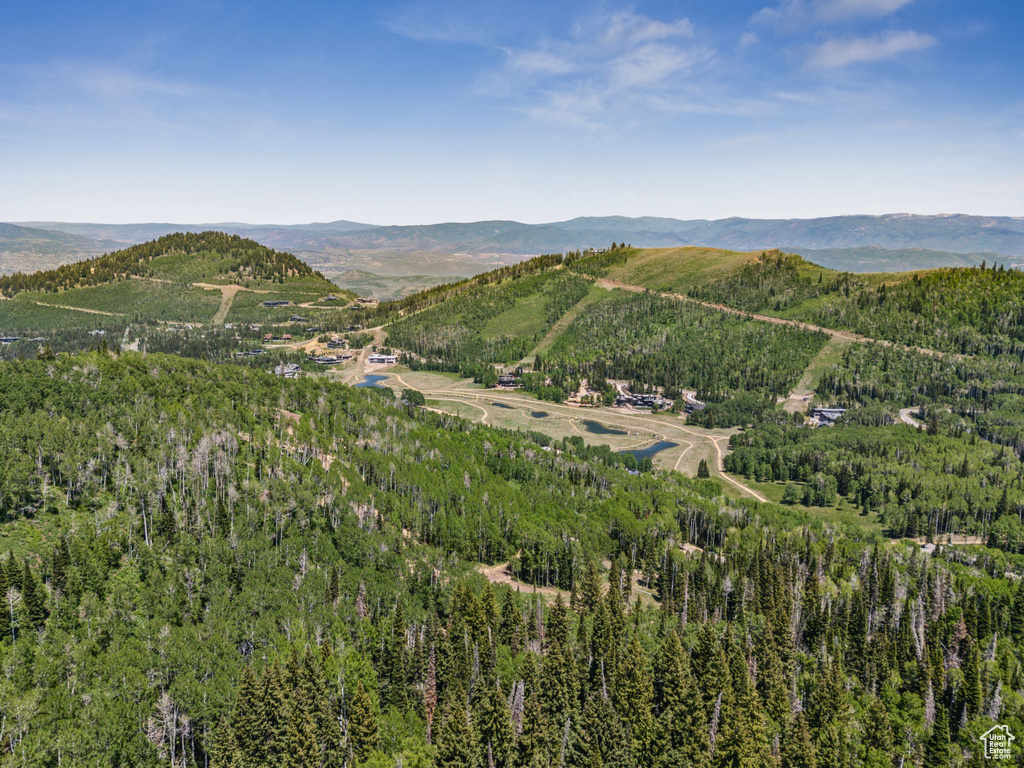View of mountain backdrop featuring a heavily wooded area