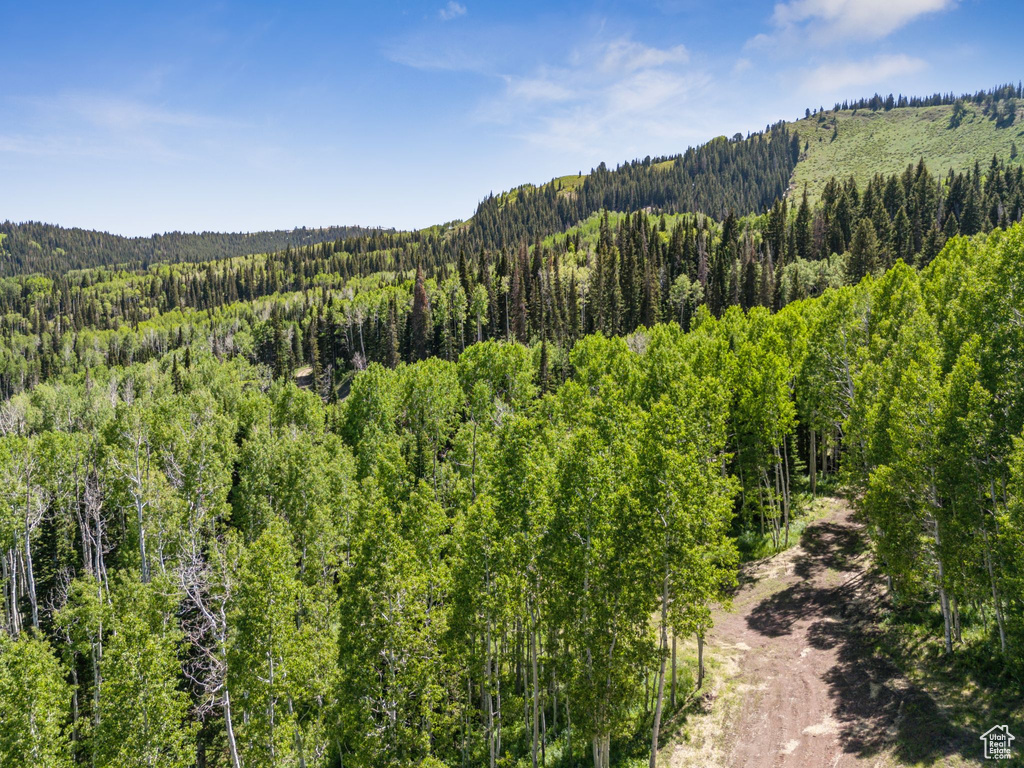 View of mountain background with a forest