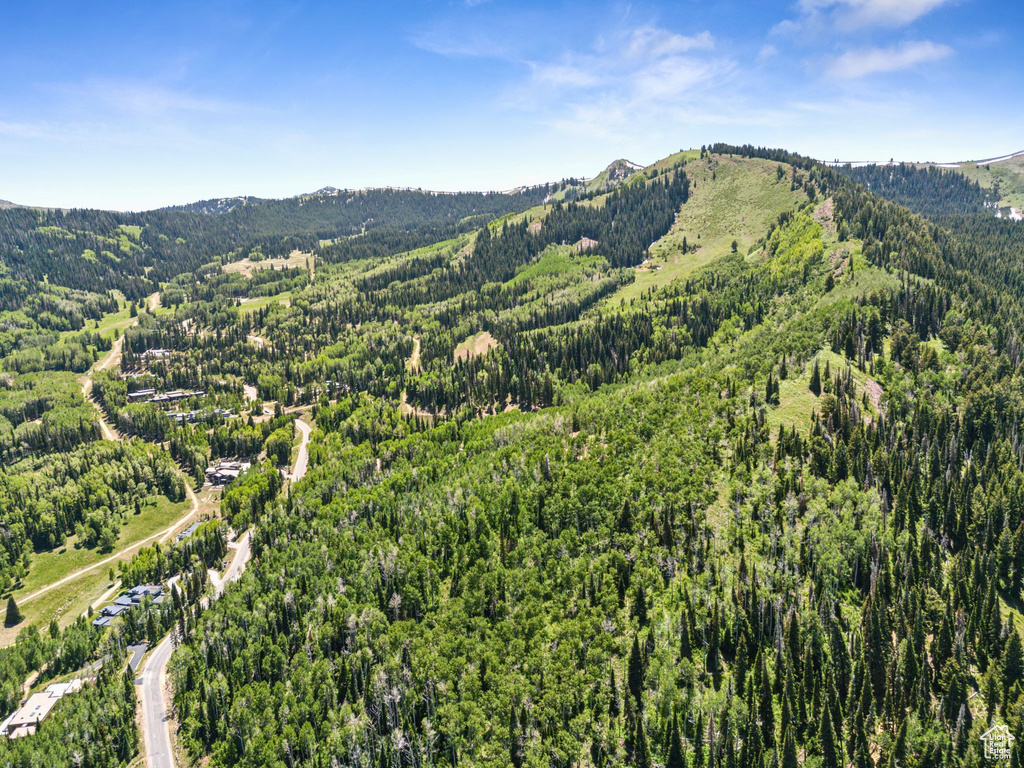 Drone / aerial view of a mountain backdrop