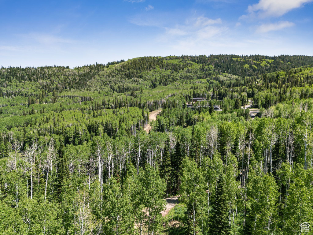 Bird's eye view of a heavily wooded area
