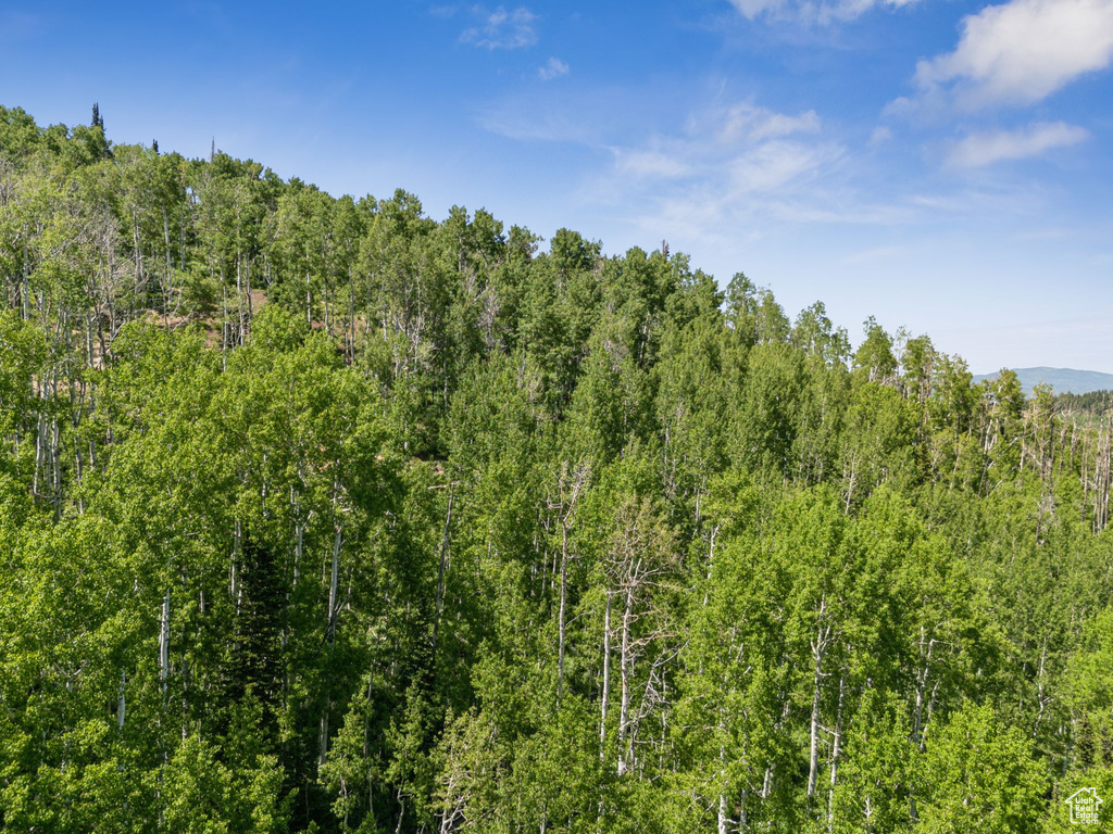 View of woods