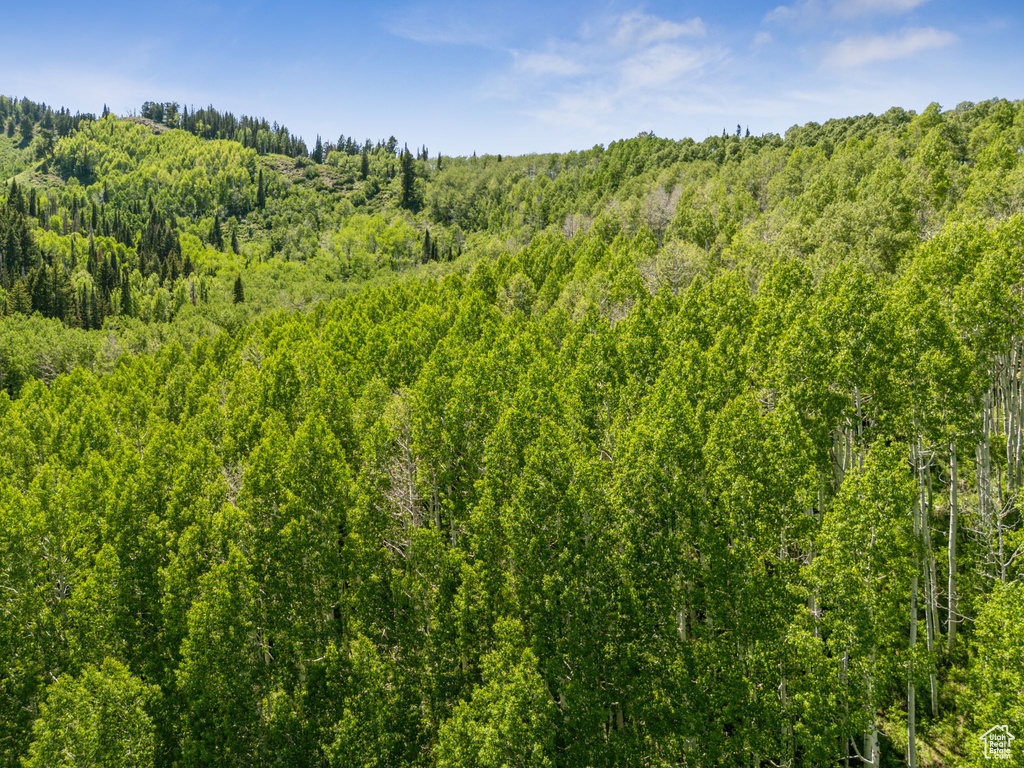 View of woods