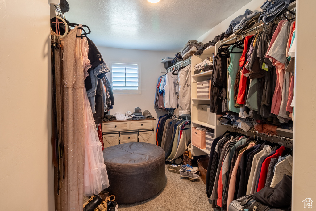 Spacious closet featuring carpet flooring