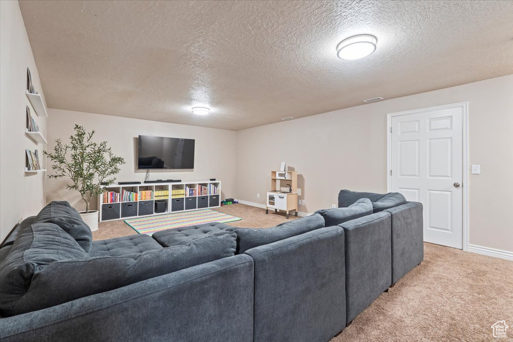 Living room featuring a textured ceiling and light colored carpet
