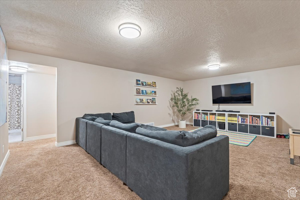 Living room featuring carpet floors and a textured ceiling