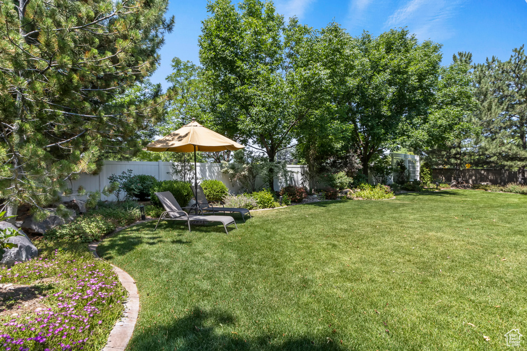View of fenced backyard