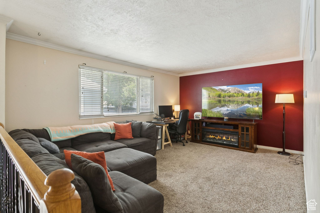 Carpeted living area featuring a textured ceiling, crown molding, and an office area