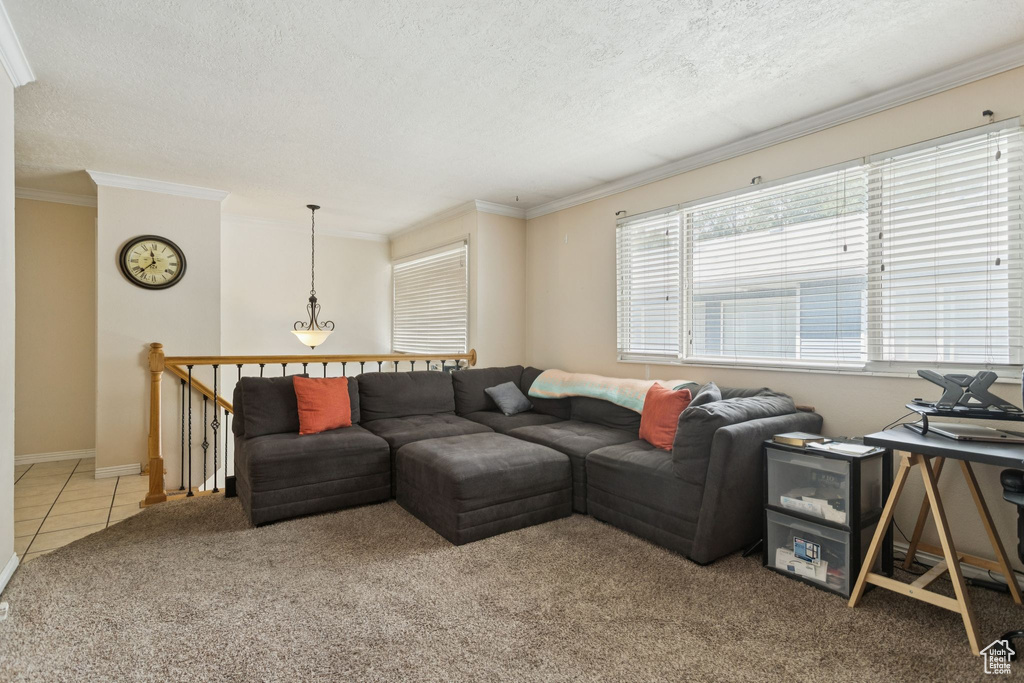 Carpeted living room with a textured ceiling, ornamental molding, and tile patterned floors