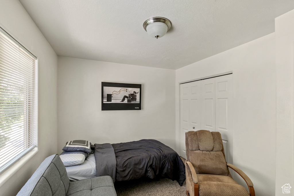 Carpeted bedroom featuring a closet