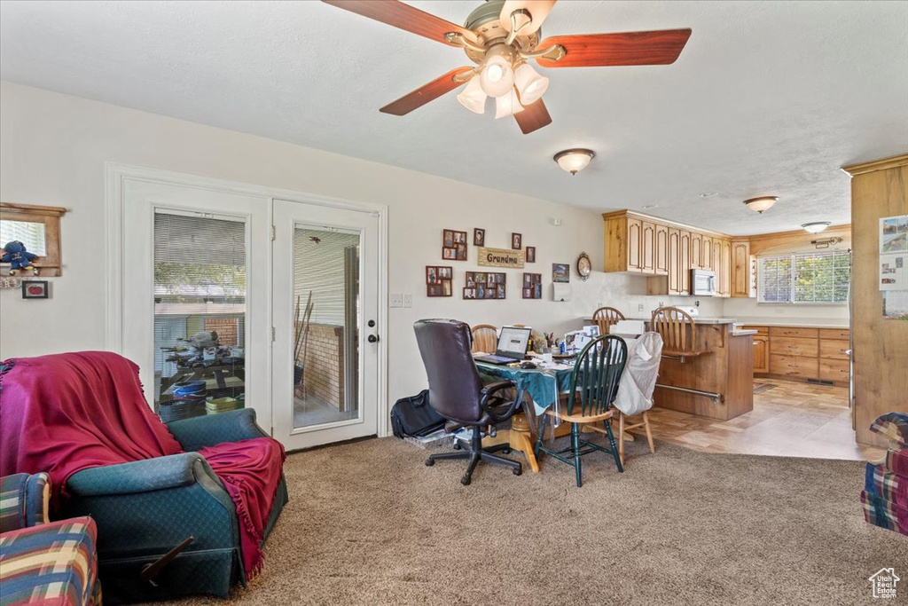 Office space with light colored carpet and a ceiling fan
