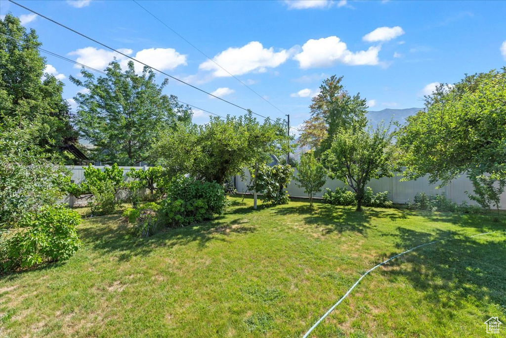 View of fenced backyard