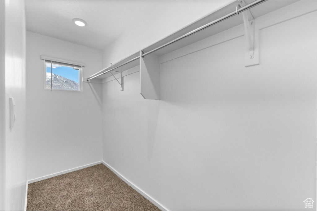 Spacious closet featuring carpet floors