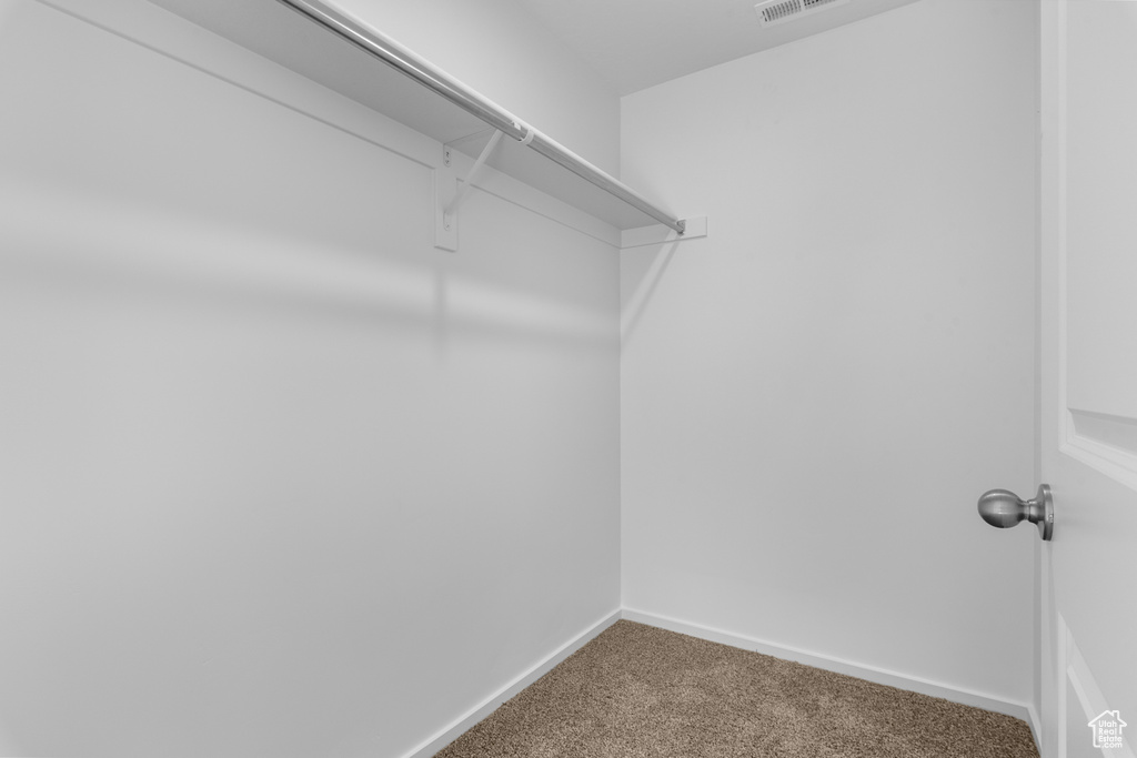 Spacious closet featuring carpet