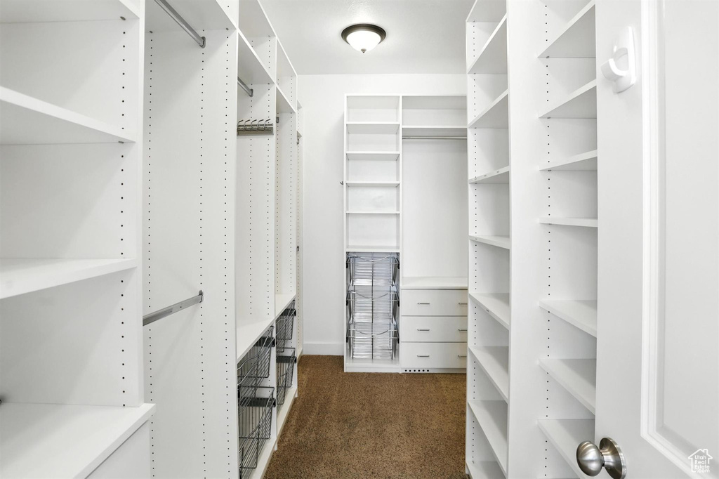 Walk in closet with dark carpet