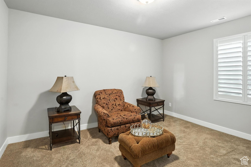 Living area with carpet floors