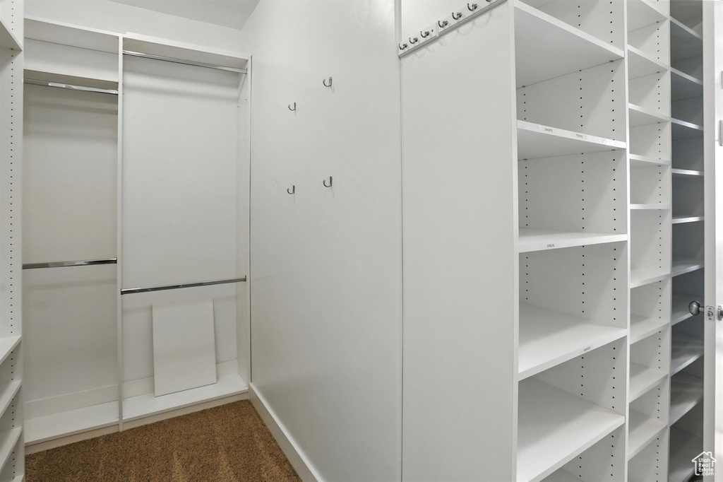 Walk in closet featuring carpet floors