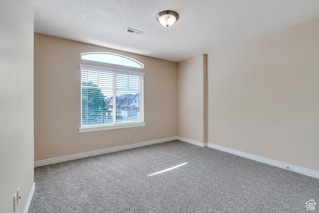 Unfurnished room with carpet flooring and a textured ceiling