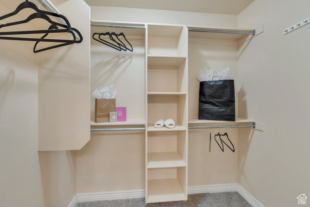 Spacious closet featuring carpet