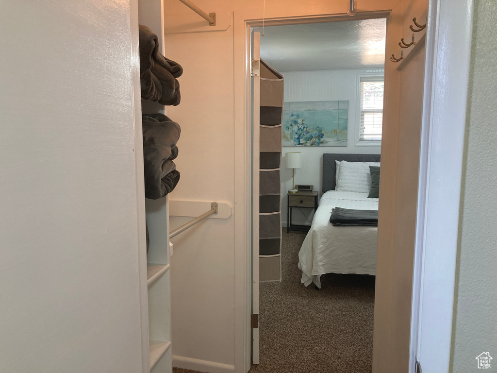Spacious closet featuring carpet floors