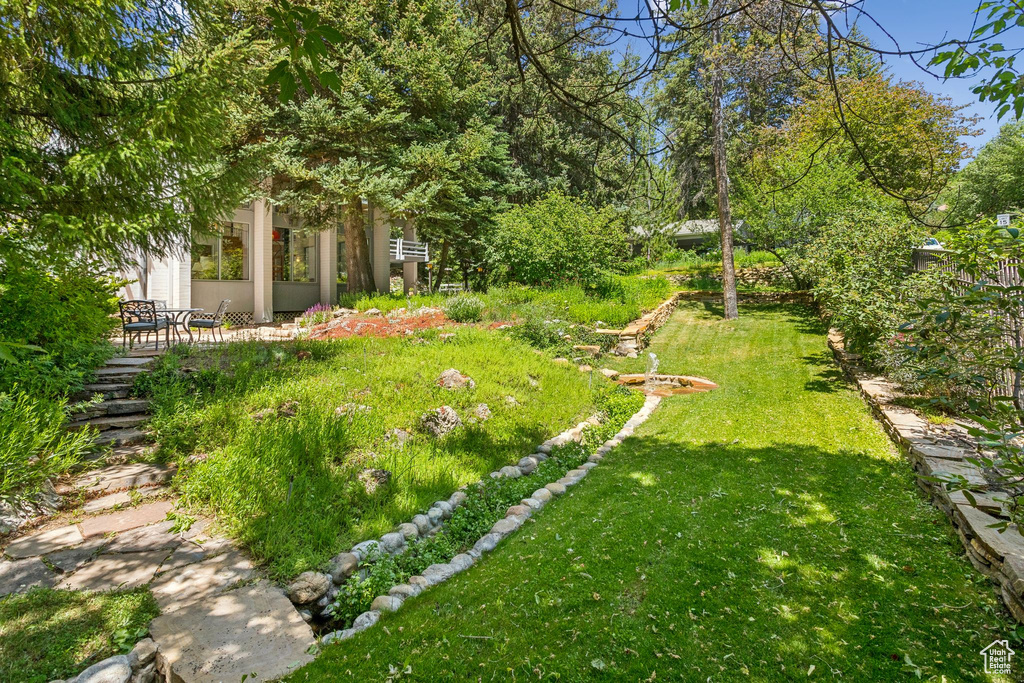 View of green lawn