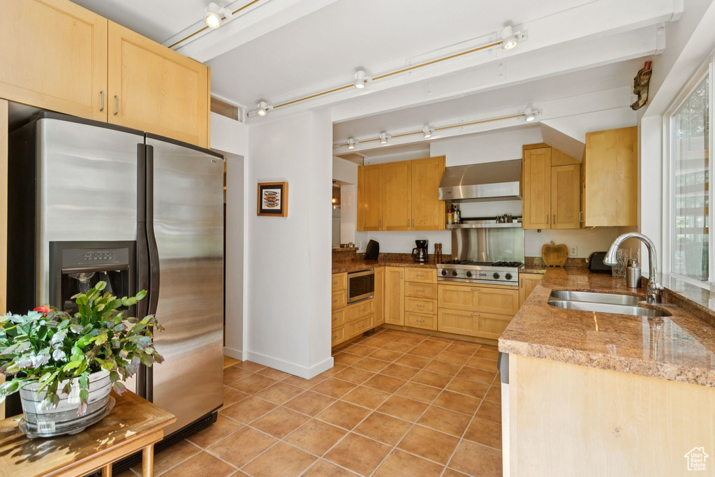 Kitchen with appliances with stainless steel finishes, wall chimney exhaust hood, light brown cabinetry, and rail lighting